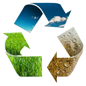 Sustainability Logo