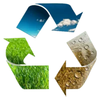 Sustainability Logo